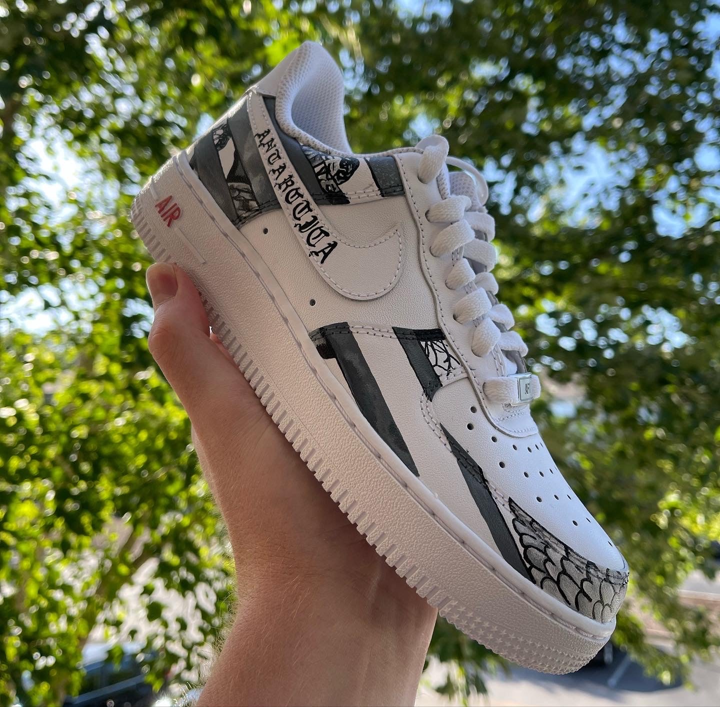 Antarctica Customs