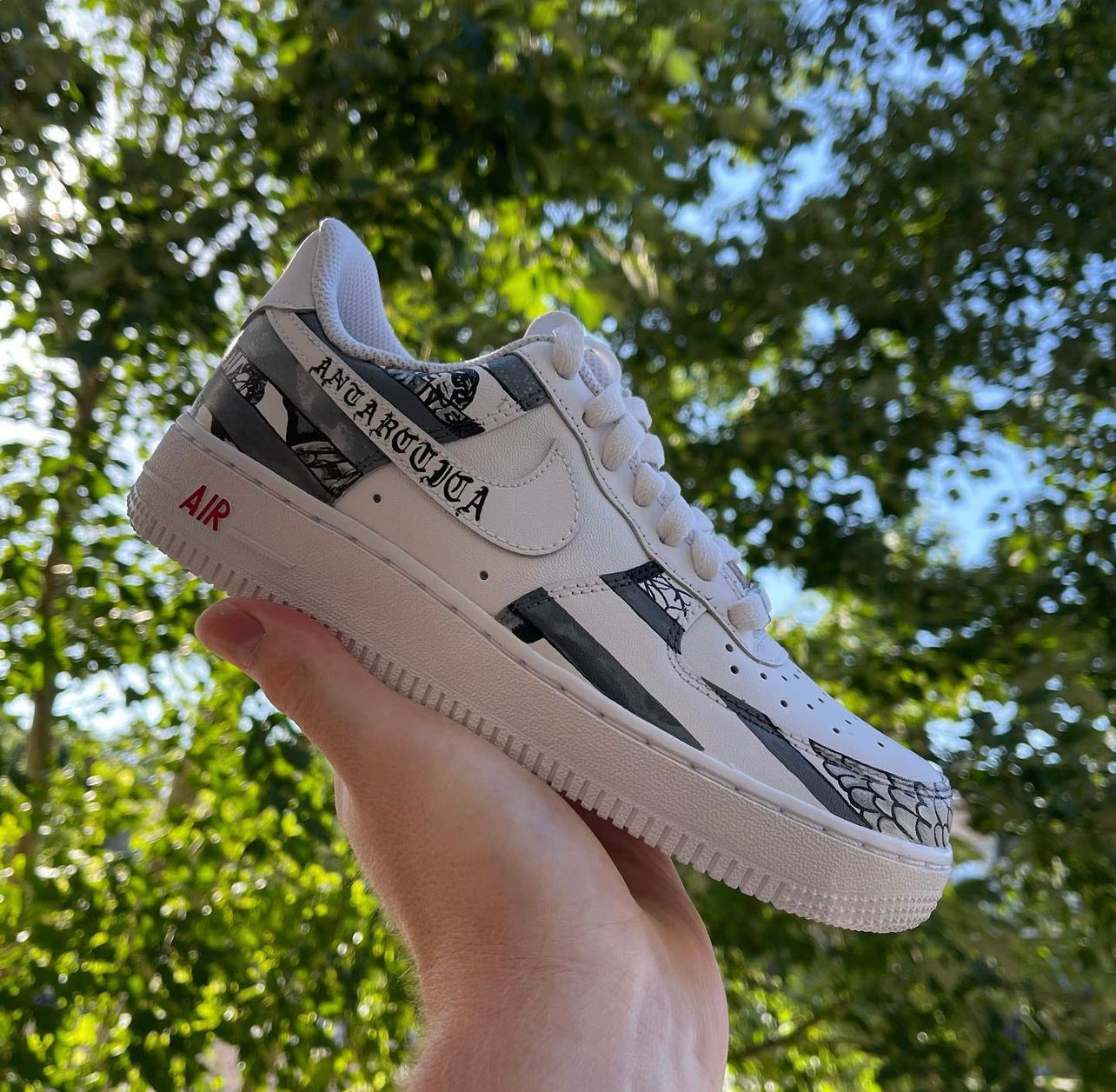 Antarctica Customs