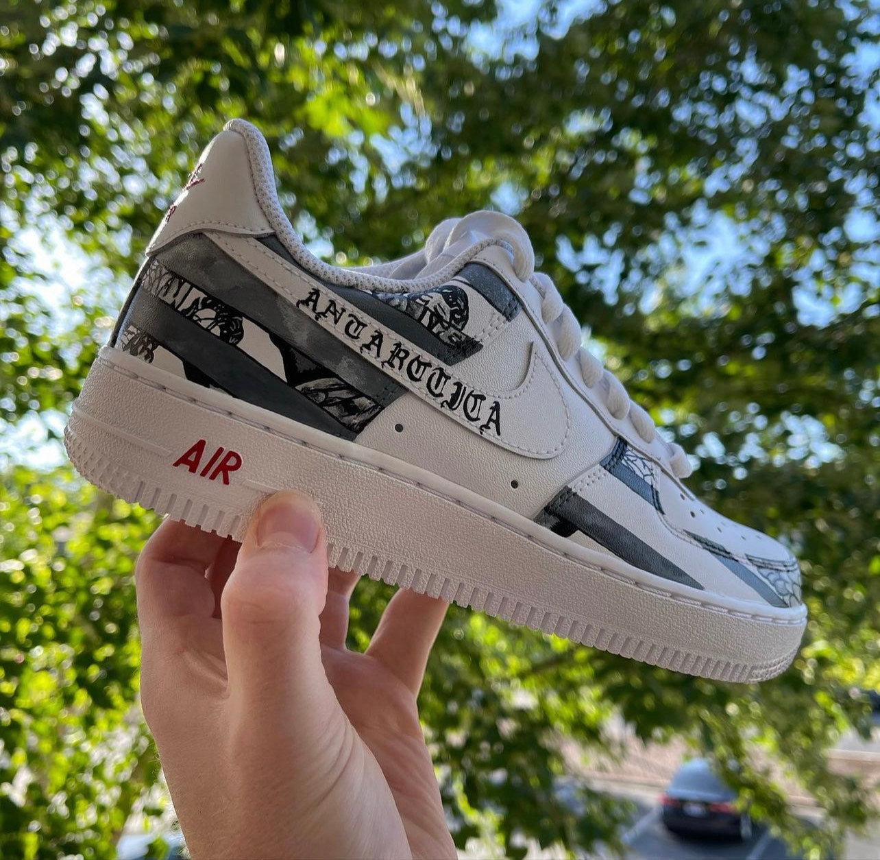 Antarctica Customs